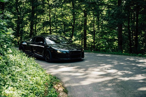 Hoe kun je het beste voor je huisdier zorgen in de winter?