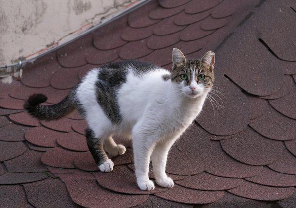 Hoe beïnvloedt virtual reality de toekomst van onderwijs?